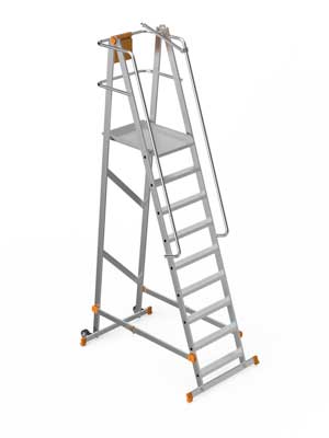 platform ladder